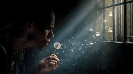 A Journey of Self-Discovery: From Darkness to Light